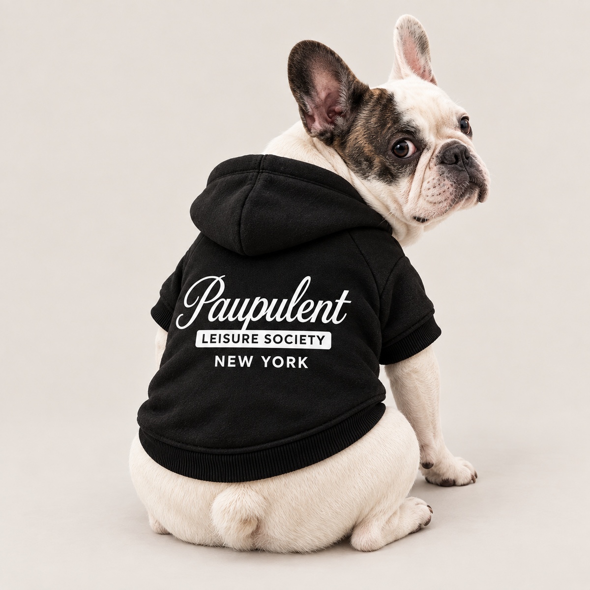 Black Leisure Society dog hoodie