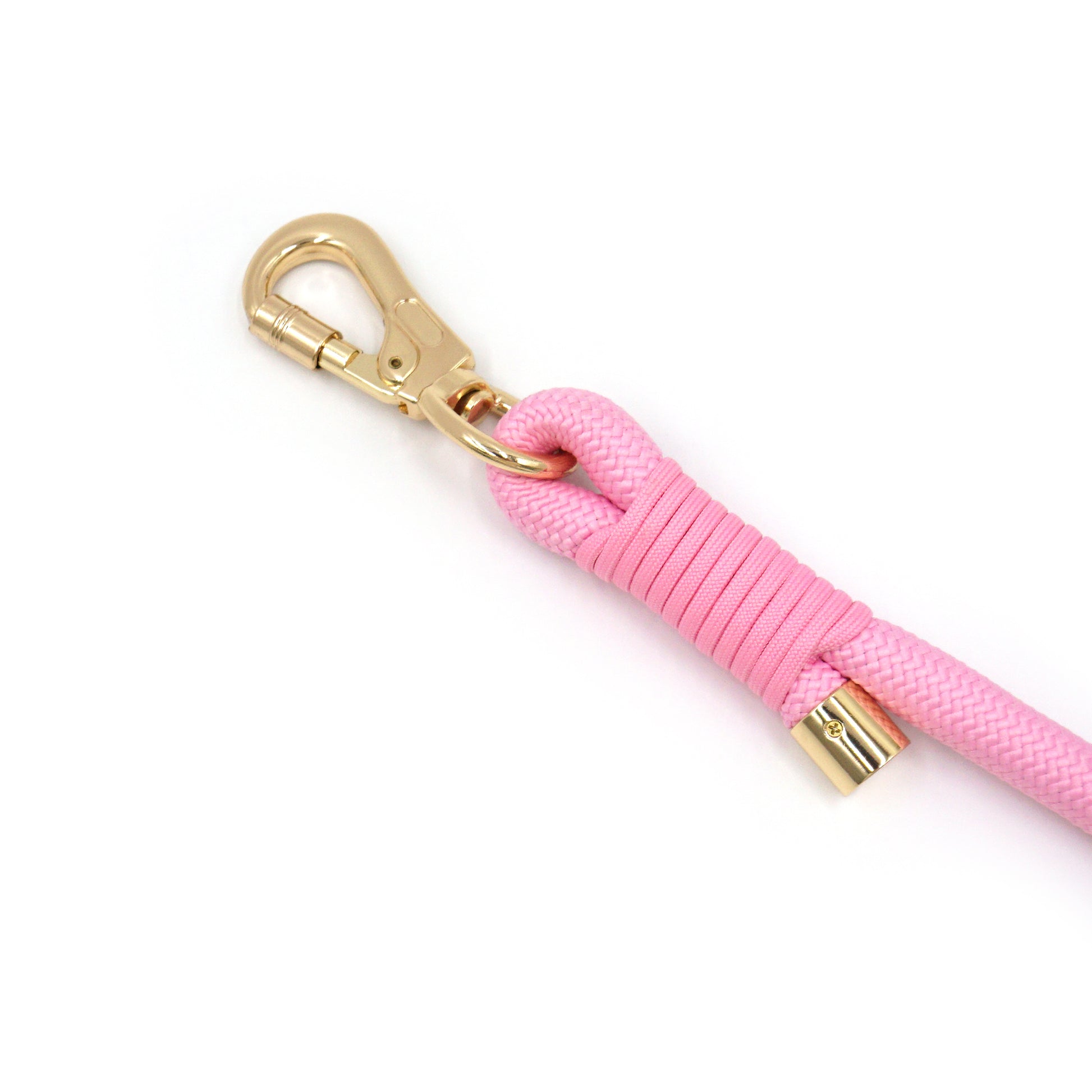 Pink leash with gold clasp on a white background
